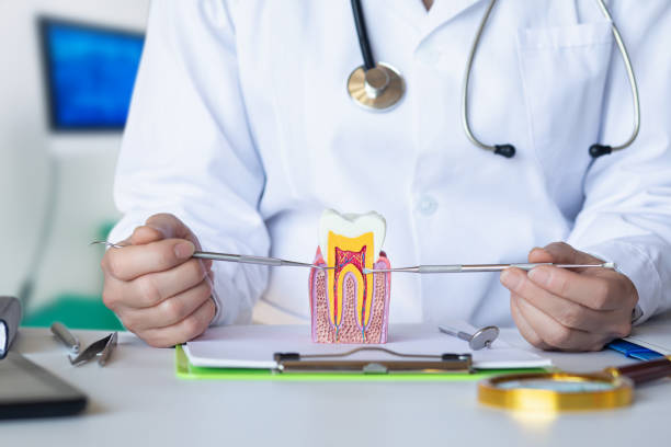 Best Broken or Chipped Tooth Repair in Captain Cook, HI